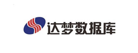 28.达梦